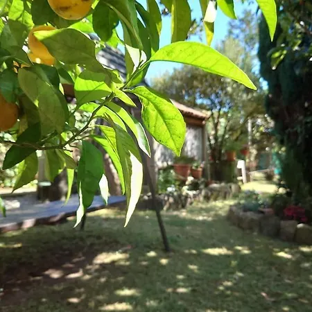 Casita Tranquila, Con Finca Y Cerca De Las Playas Muxia Exterior foto
