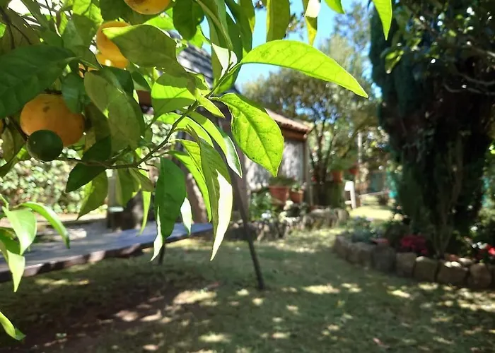 Casita Tranquila, Con Finca Y Cerca De Las Playas