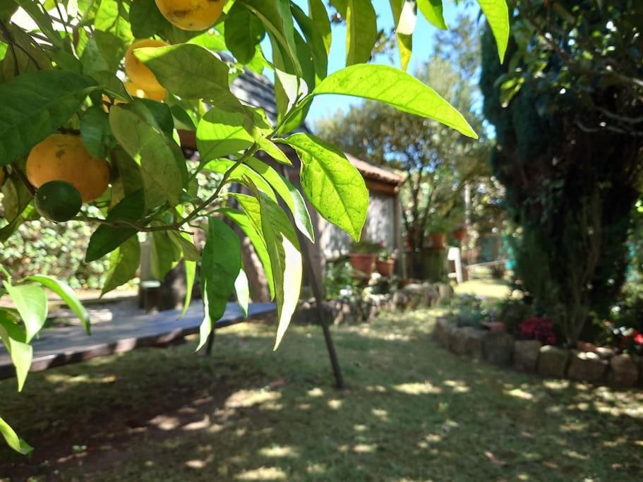 Casita Tranquila, Con Y Cerca De Playas Hébergement de vacances *