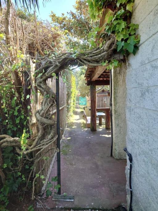 Casita Tranquila, Con Y Cerca De Playas Hébergement de vacances *